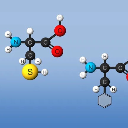 The Building Blocks of Fitness: Exploring the Power of Amino Acids